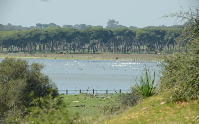Hotel Doñana Blues