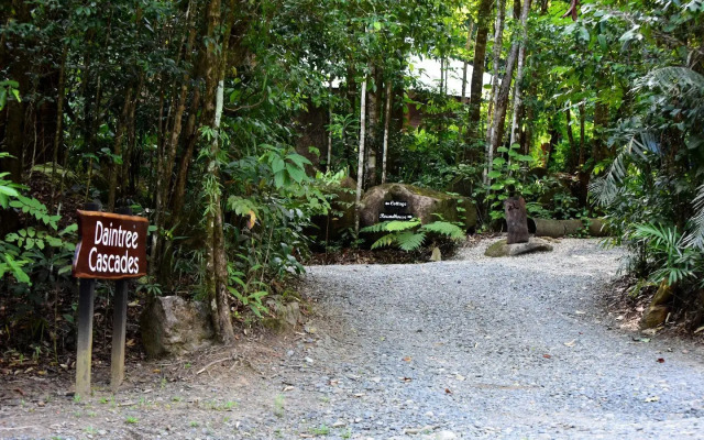 Daintree Cascades