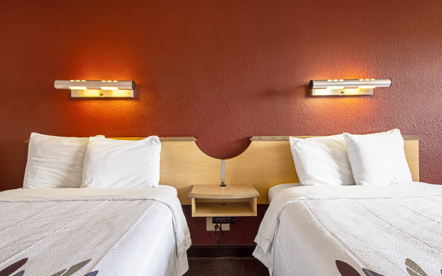Red Roof Inn Jacksonville - Orange Park