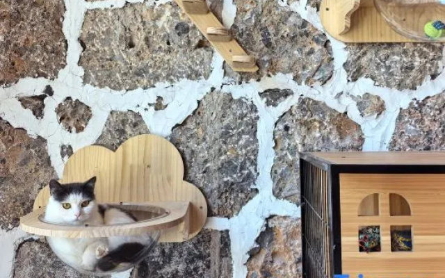 Lijiang Yushanyuni Snow Mountain View Boutique Hotel