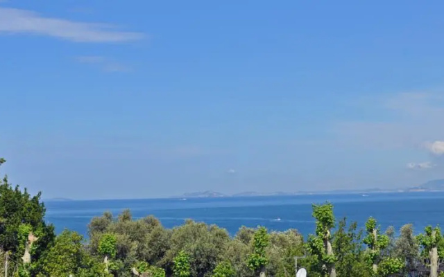 Splendid Apt Sea View