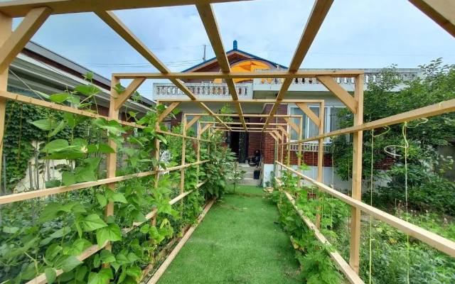 Grandmother's Vegetable garden