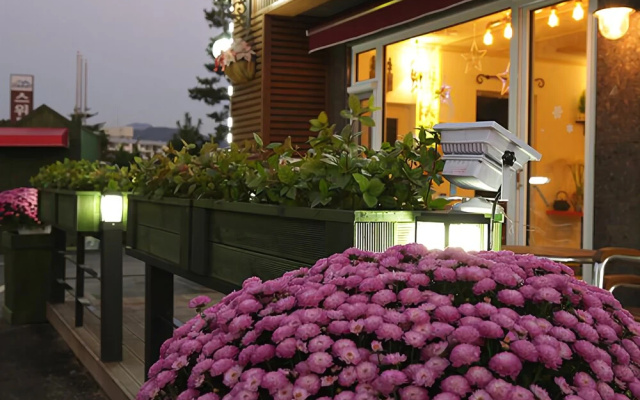 Yongin Caribbean Hue Pension