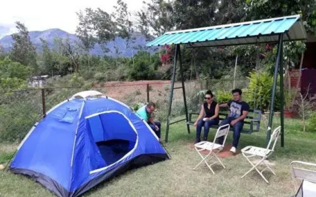 Wild Valley Nature Club