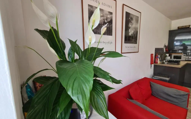 Smart Town Centre Apartments
