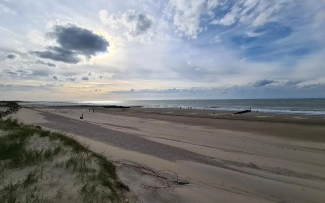 Park Schoneveld: Zeester 64