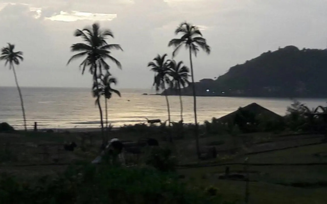 BEAUTIFUL SPACIOUS STUDIO APT IN CANDOLIM with Wifi