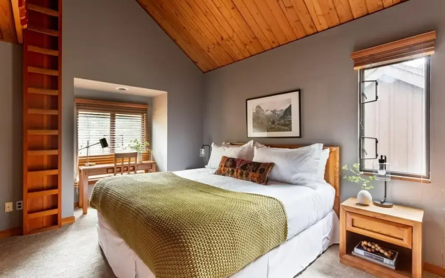 Salishan Lane - Skylight