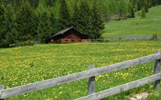 Hotel Bernard