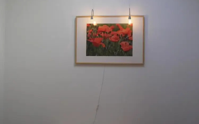 Les Coquelicots