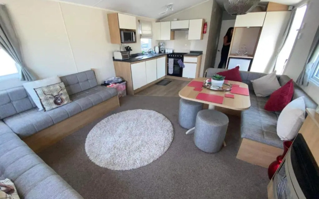 Trecco Bay Acorns 22