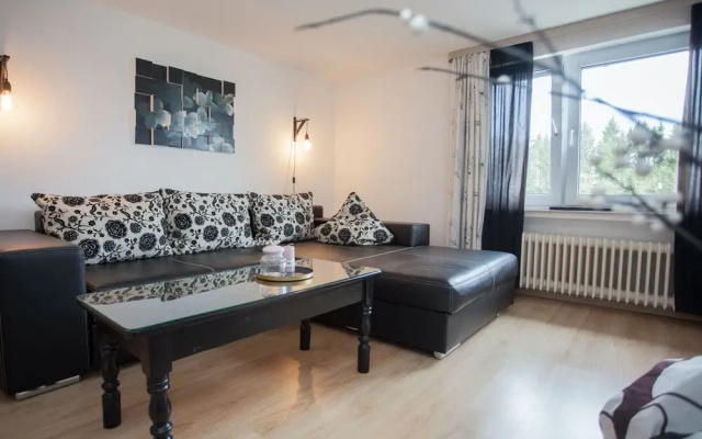 Modernes Appartement Neben Einem Skigebiet