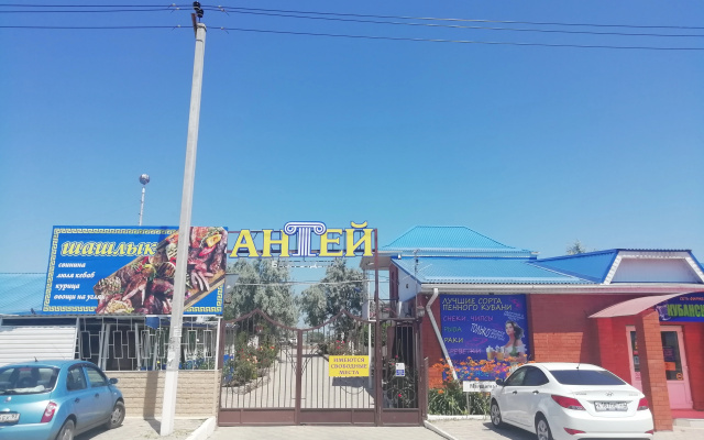 Antej