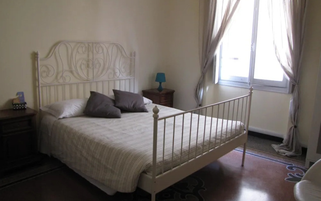 Granello Suite