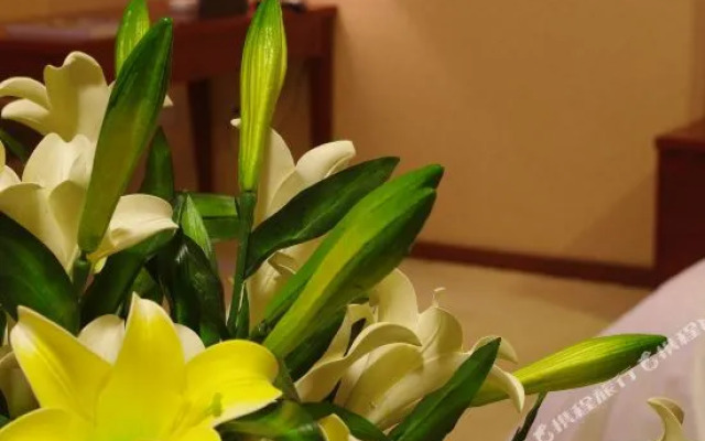 Xiyue International Boutique Apartment
