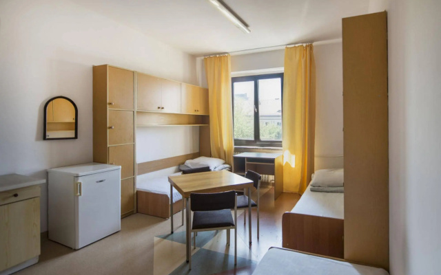 Dizzy Daisy Hostel