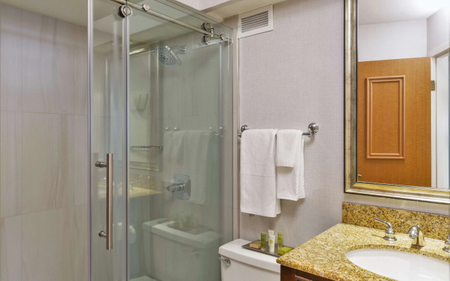 Hilton Chicago/Oak Lawn