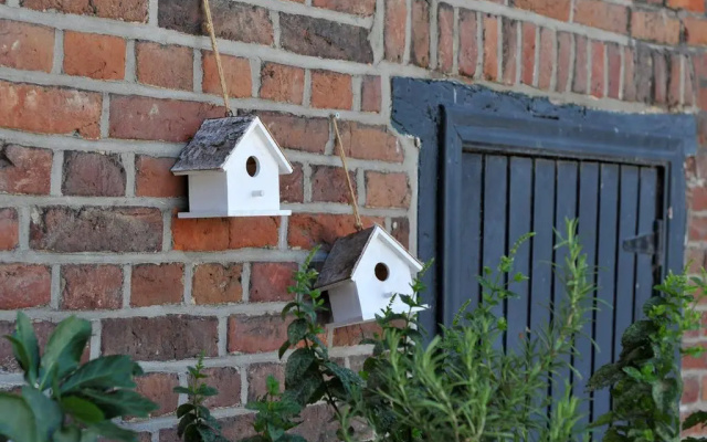 B&B Het Vuchterhof