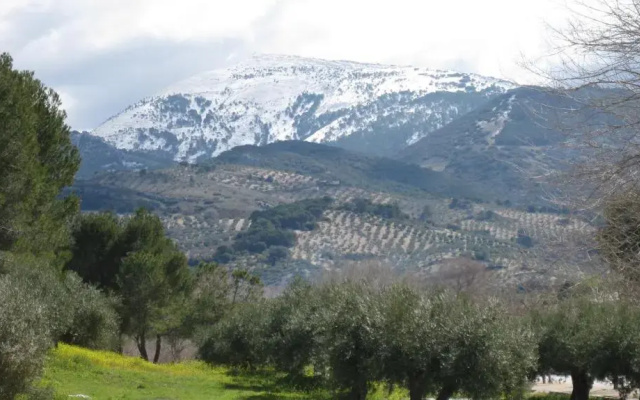 Hotel Torrezaf