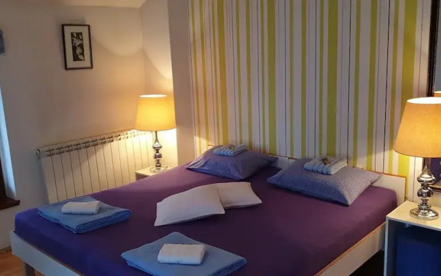 Guest House Bikica