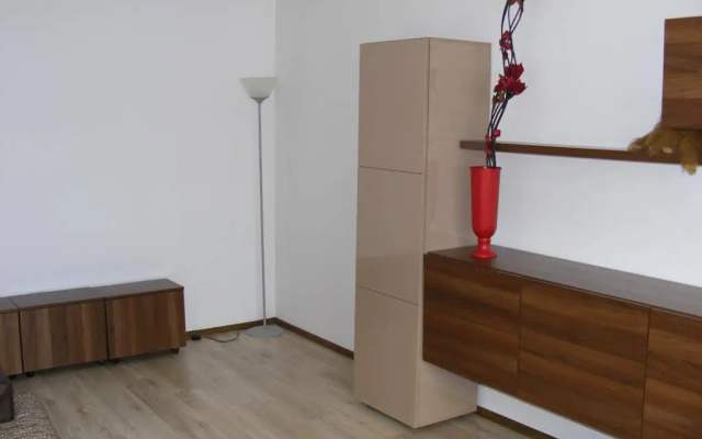 Apartment Toma Garii