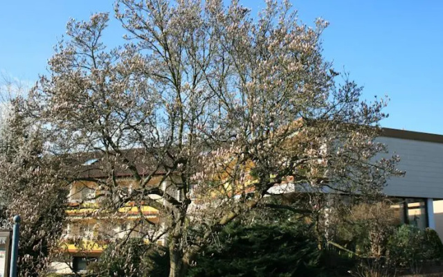 Gästehaus Magnolie