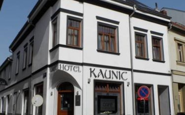 Отель Kaunic Чехия, Угерски-Брод - отзывы, цены и фото номеров - забронировать отель Kaunic онлайн