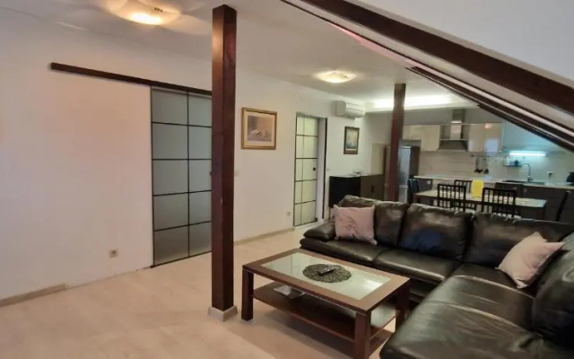 Apartment Skorin