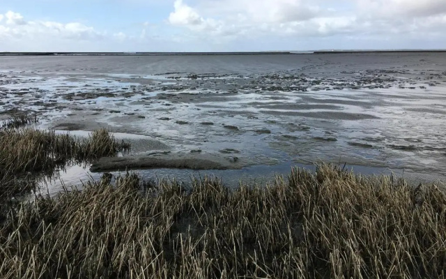 Verschmitzt am Meer