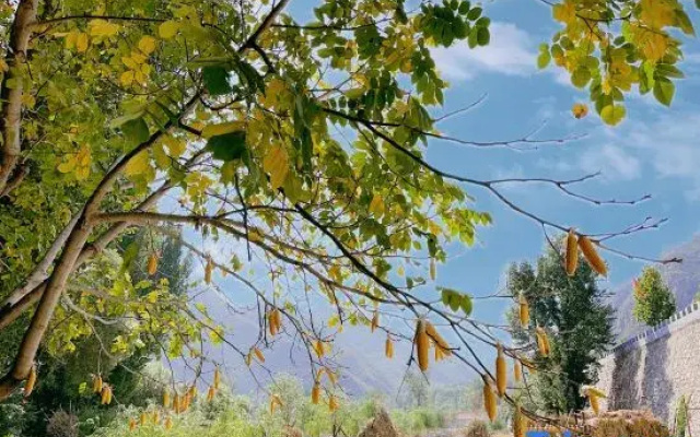 Floral Hotel ·Yesanpo Shiguang Mountain Hotel
