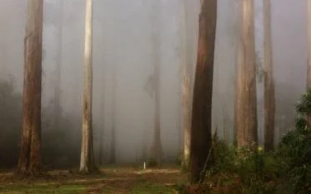 Wombat Cottage Bed & Breakfast