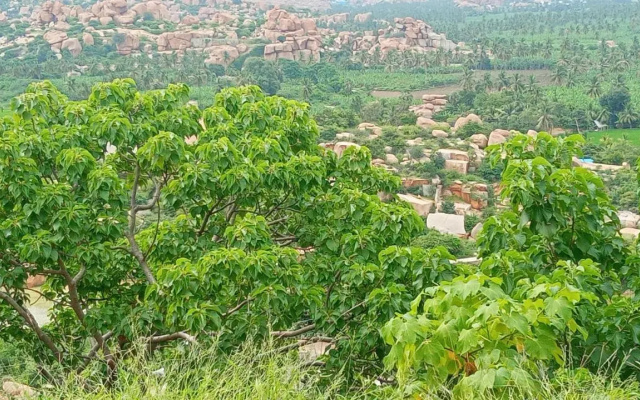 Gopi Plantation Homestay