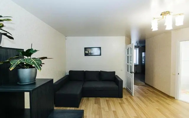 VIP Apartment ob Gorkogo Square