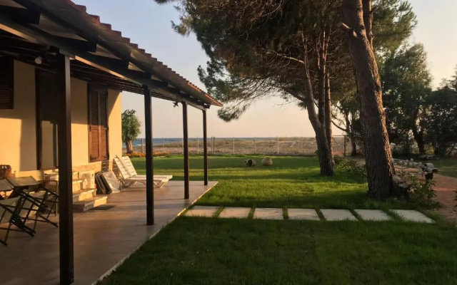 Aster Beach House