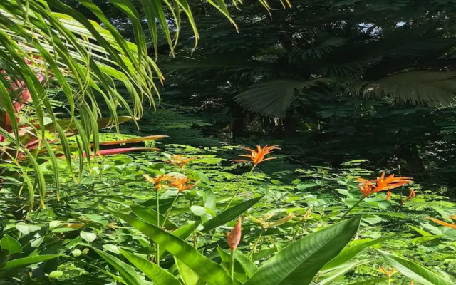 La Nature Apartments