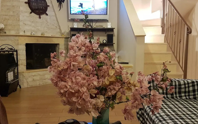 Villa Leonidas Near Athens Airport