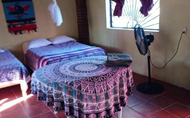 Iguana Loca Hostel