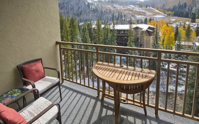 Wren At Vail