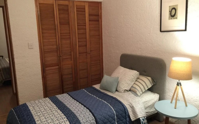 Great Apartment Near Downtown CDMX