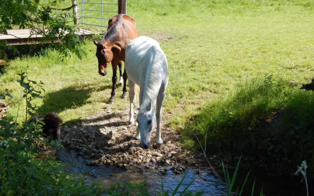 Reiter- und Ferienhof Redder