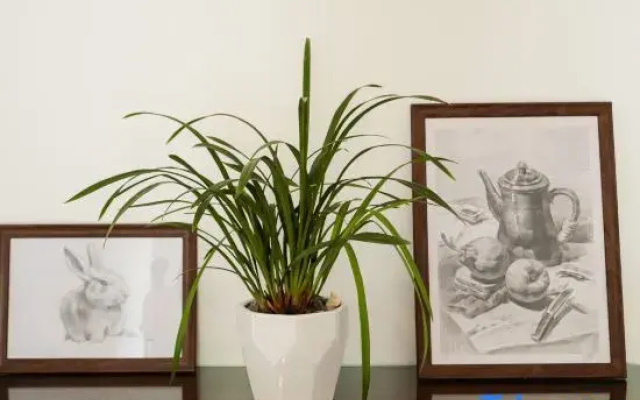 Xiangshan Muzinanxi Homestay