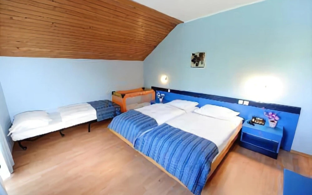 Hotel Bor & Grad Hrib