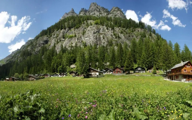 Chalet les Mésanges - Salvan