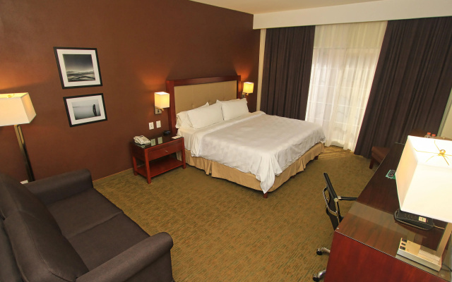 Holiday Inn Leon by IHG