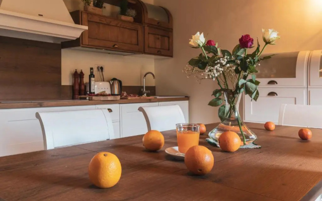 Paradiso Di Cacuci - Traditional Tuscan Vineyard & Villa