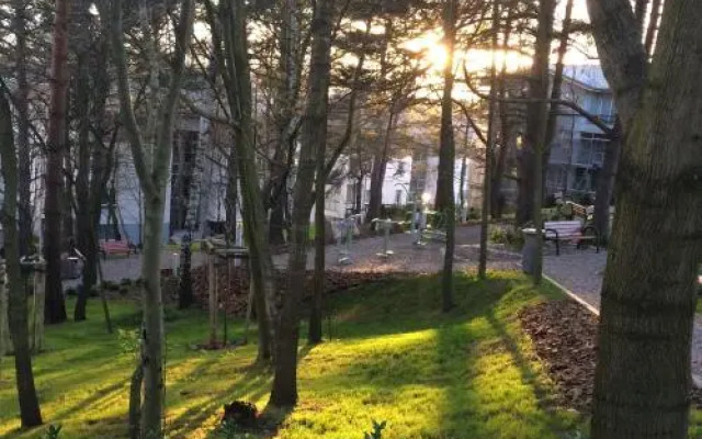Apartament 15