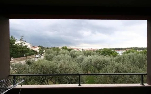 Oliveto