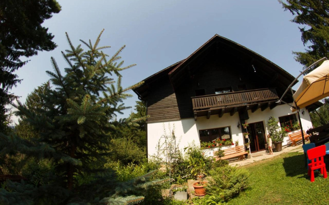 Pension Cabana Ionela