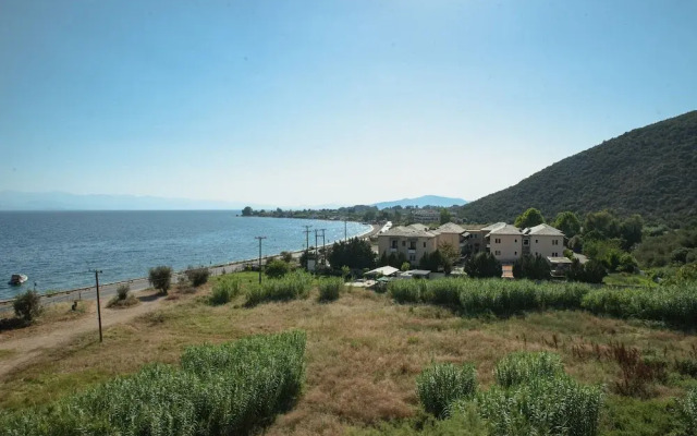 Lilly s Seaview Studio