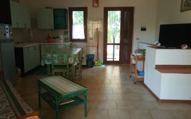 Green House - Woods And Beaches - Sardinia